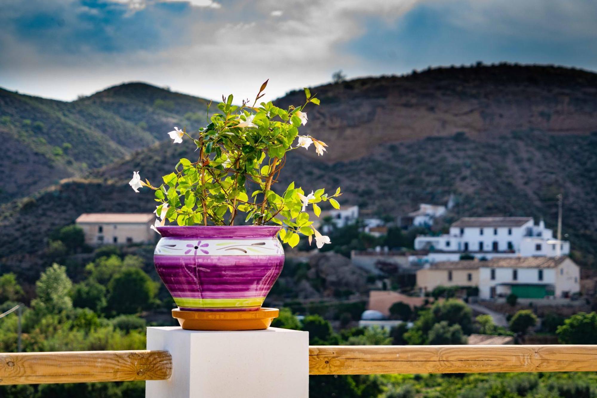 Rambla Retreats Apartment Rojo With Shared Pool & Hot Tub Stunning Views In Oria Exterior foto